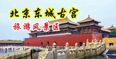 操大骚货视频大全中国北京-东城古宫旅游风景区