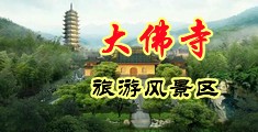 356专区黄色中国浙江-新昌大佛寺旅游风景区